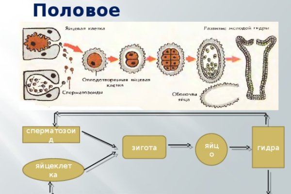 Кракен вход магазин