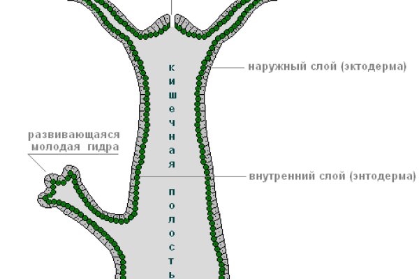 Кракен даркнет актуальная ссылка