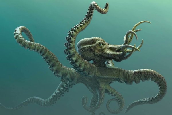 Kraken online