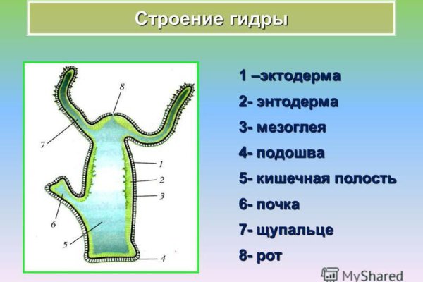 Кракен даркнет официальный